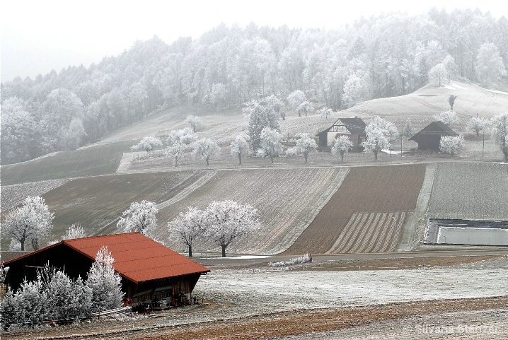 Frosty Hills in Switzerland