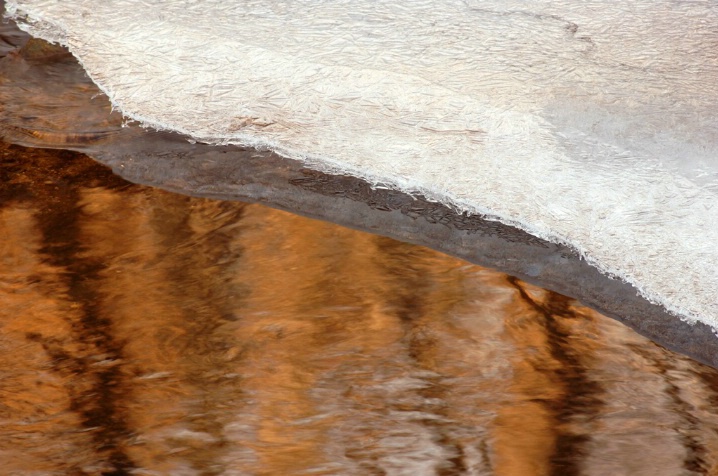 Icy Shoreline