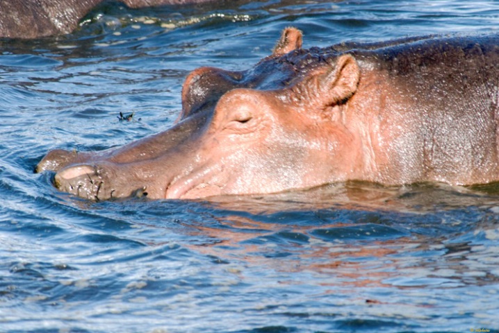 Staying cool!