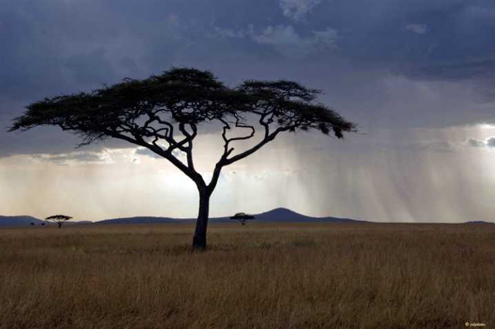 A storm across the Serengeti