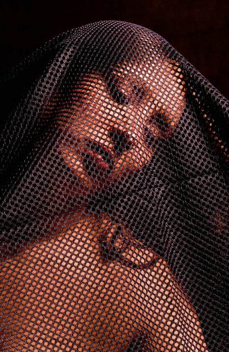 Model with Shroud