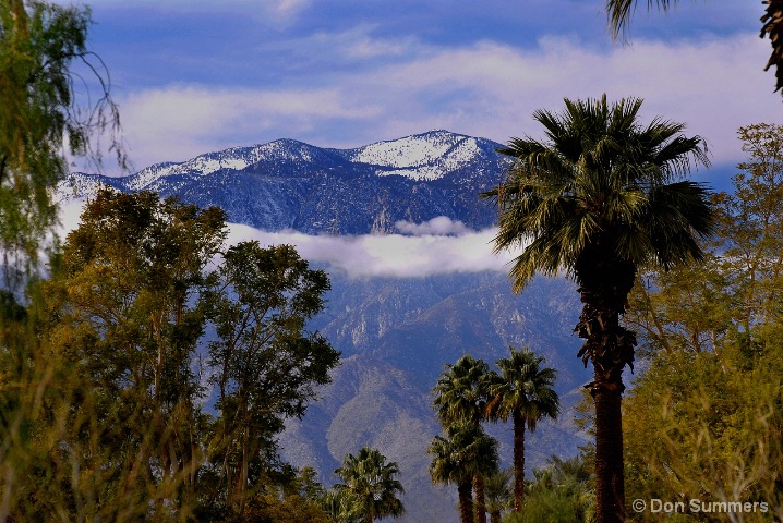 Palm Desert, CA 2008