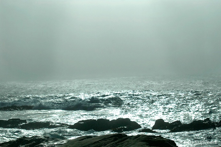 Pt. Lobos, CA 2008