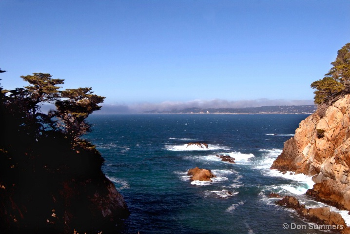 Pt. Lobos, CA 2008