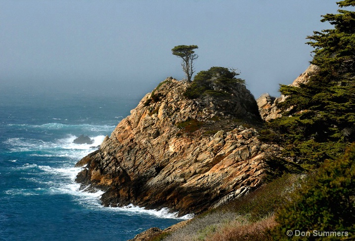 Pt. Lobos, CA 2008