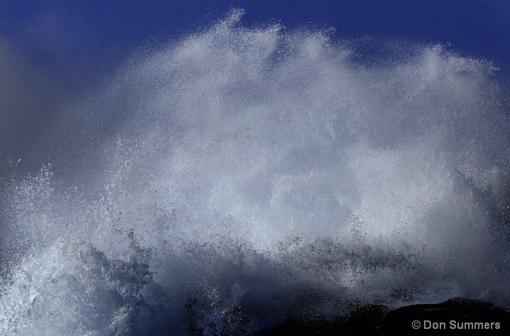 Pt. Lobos, CA 2008