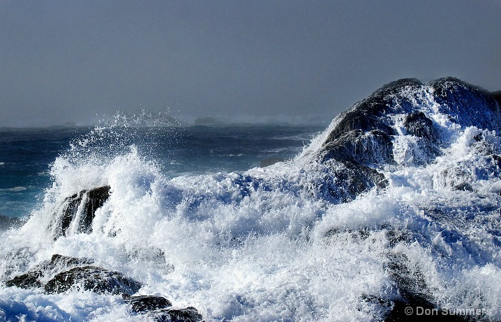 Pt. Lobos, CA 2008