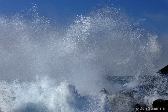 Pt. Lobos, CA 2008