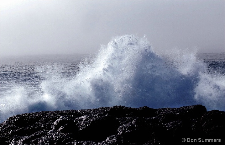 Pt. Lobos, CA 2008