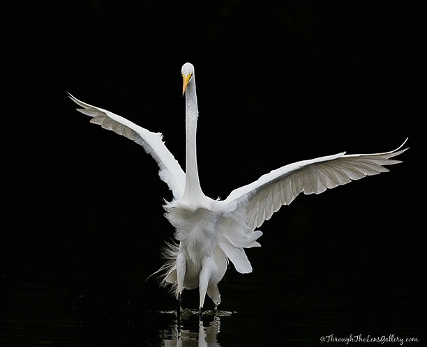Earth Angel...