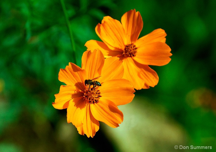 Daisy, Butare, Rwanda 2007