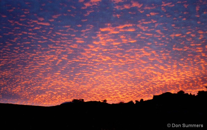 Red Sunrise, Tiburon, CA 2006 