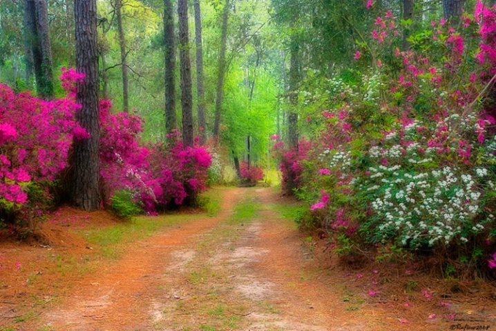 Follow the Color