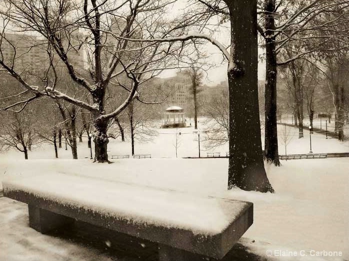 Snowfall,Boston Common