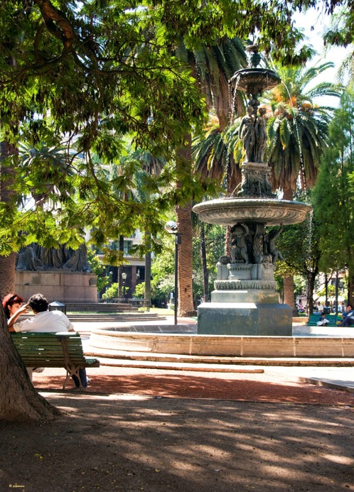 Restful shade on Salta Plaza