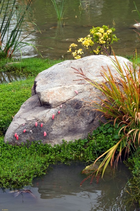 Restful view