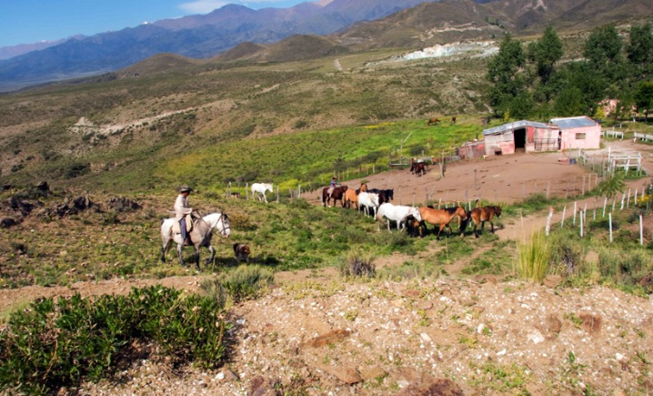 Bringing in the horses - Tupungato, Argentina