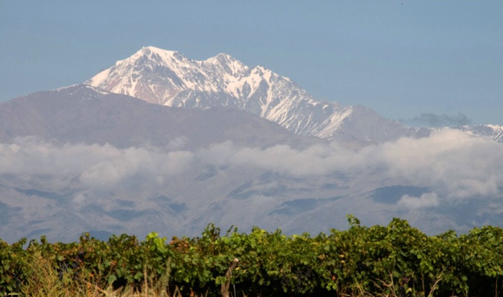 Andes above Uco Valley vines