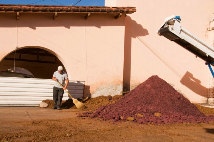Bodega La Rural, Mendoza area