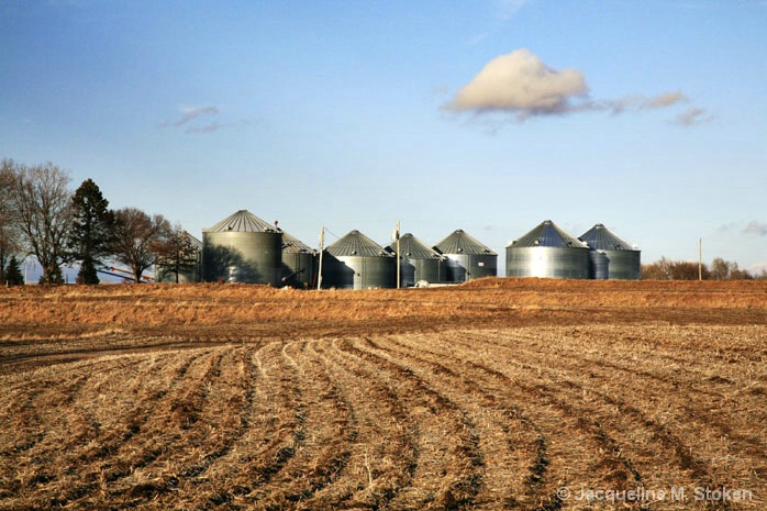 Farmland and Silos
