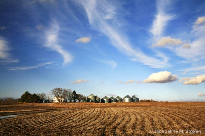The grand Iowa farm landscape