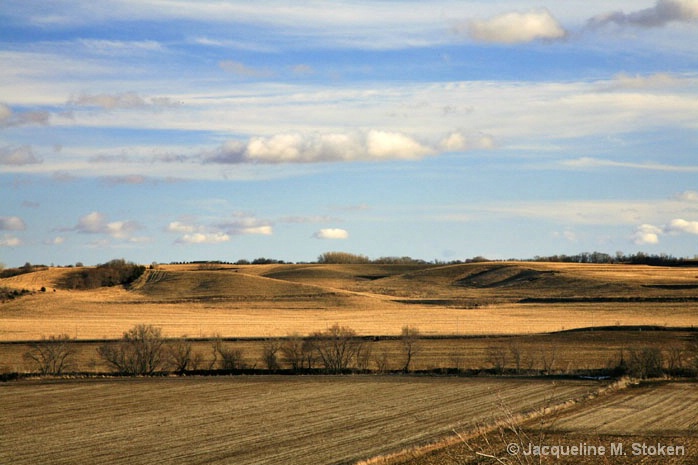 Loess Hills Farmland