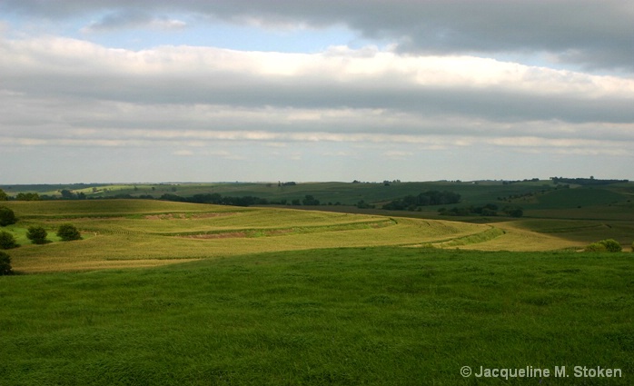 Iowa farm terracing
