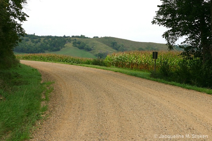 Rural Iowa road, cornfield and Loess Hills
