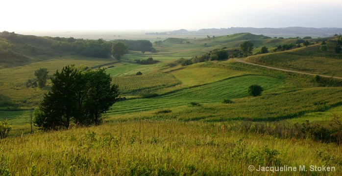 Loess Hills overlook