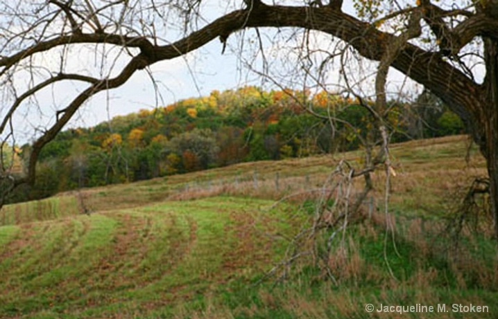 Sunlight on hill