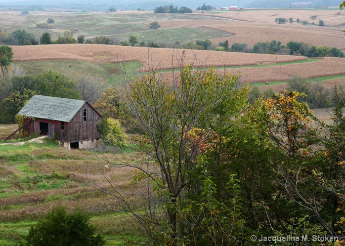 Barn and fields