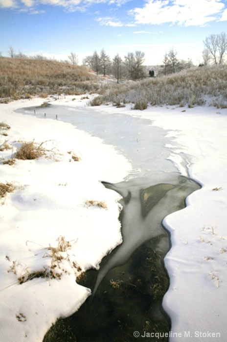 Icy Creek