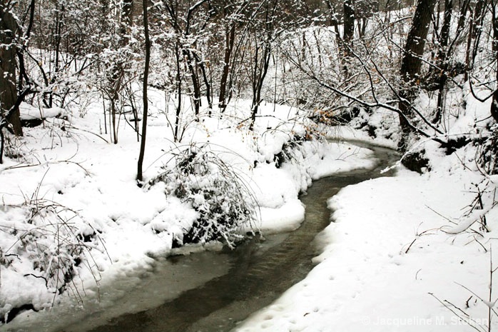 Winter creek