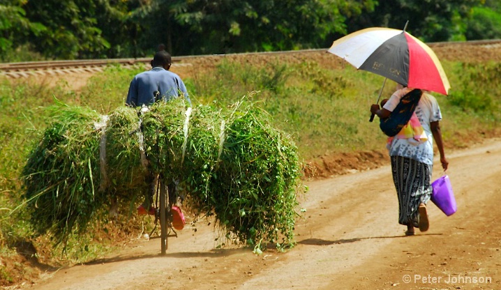 Different Tracks - Tanzania