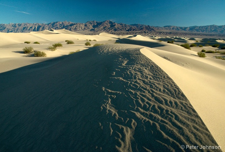 Pristine Dune - Death Valley National Park
