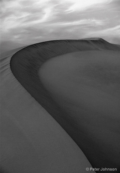 Sand Snake - Death Valley
