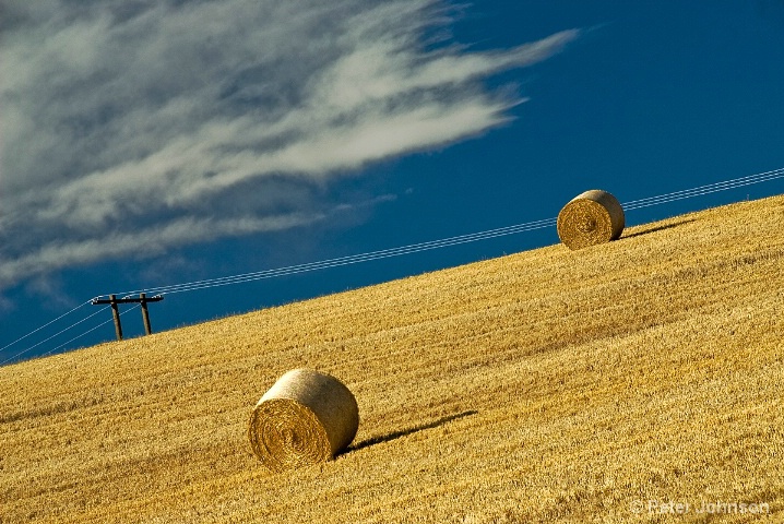 Putting Up Bale - New Zealand