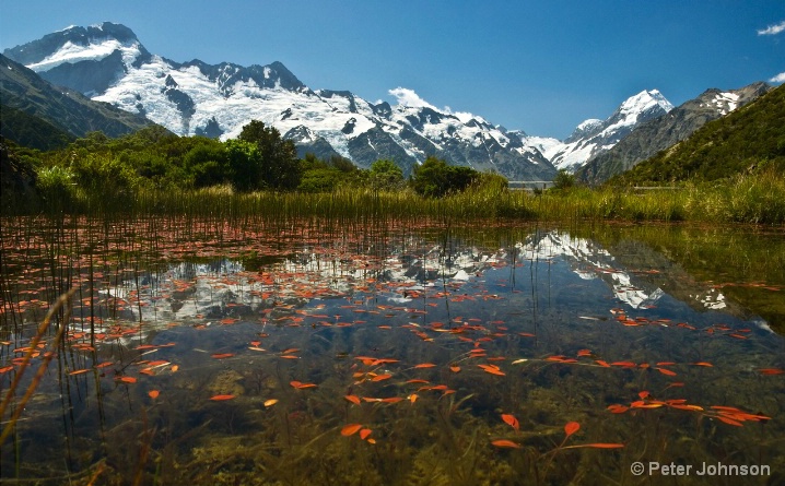 Alpine Pool Reflecting Mt Cook Range - New Zealand