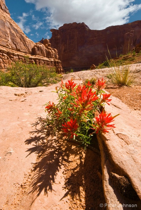 Against All Odds - Utah