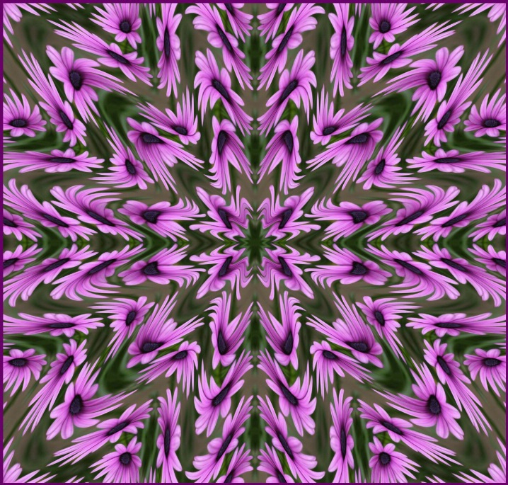 29