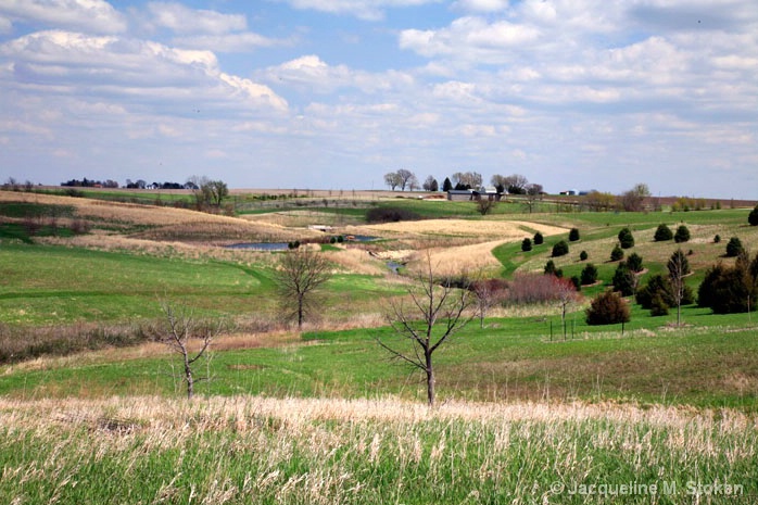 Early spring