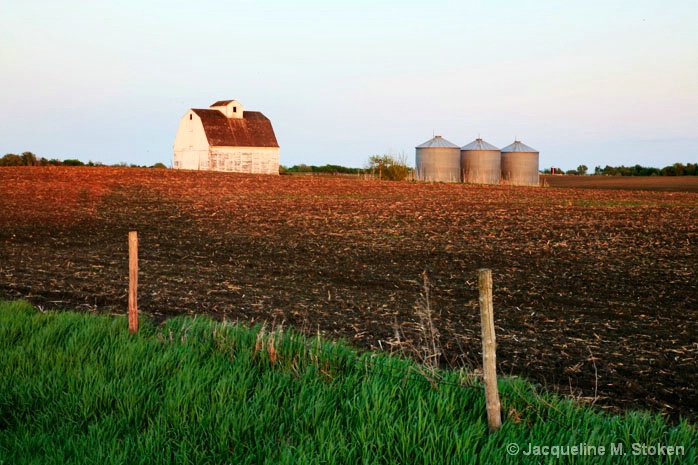 Corn crib and grain bins