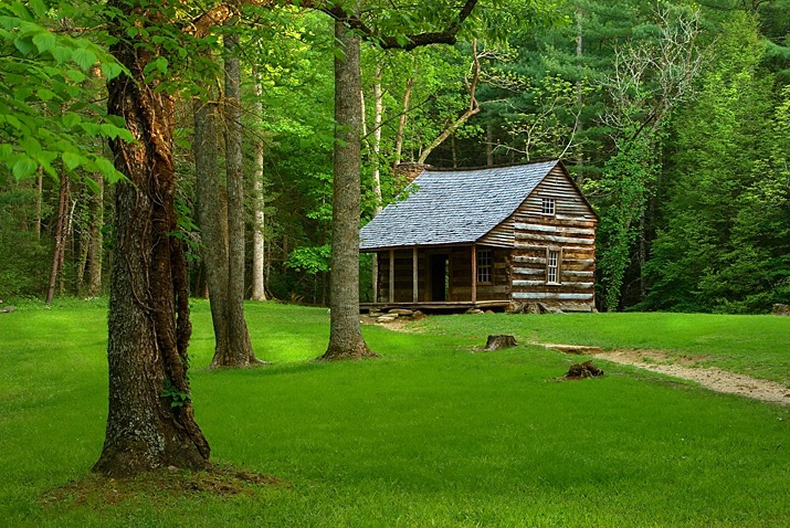 Carter Shields Cabin ( Smoky Mountains)