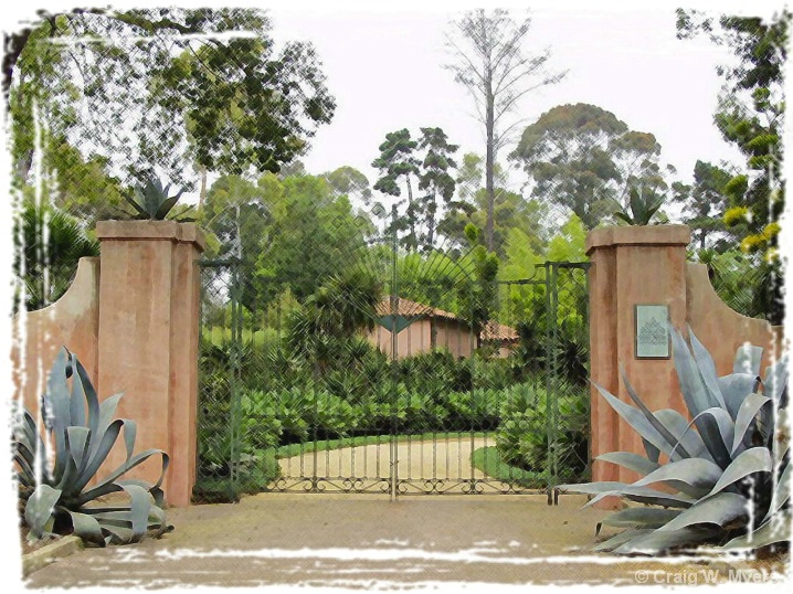 Lotus Land