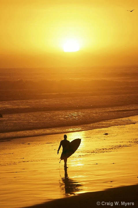 Sundown Surfer I