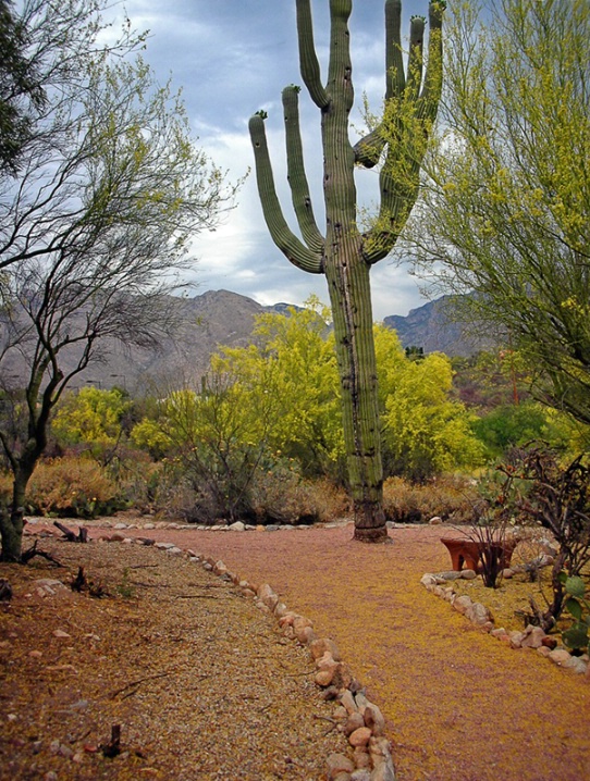 Nature Trail