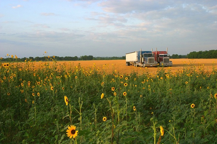 Harvest