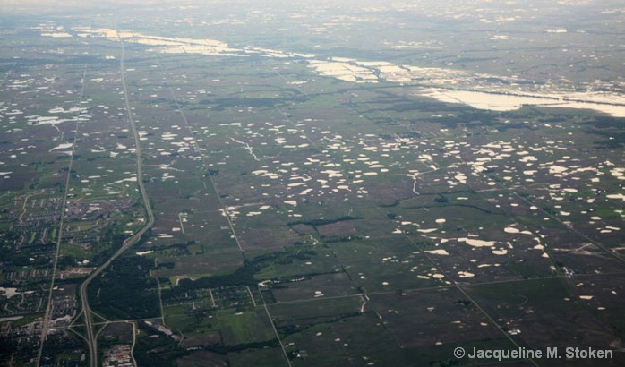 Iowa landscape