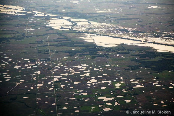 Iowa farmland