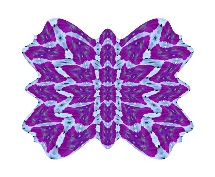 28